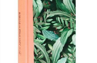 Bíblia da Mulher de Fé