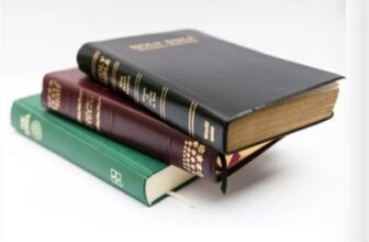 Modelos de Biblias para iniciantes