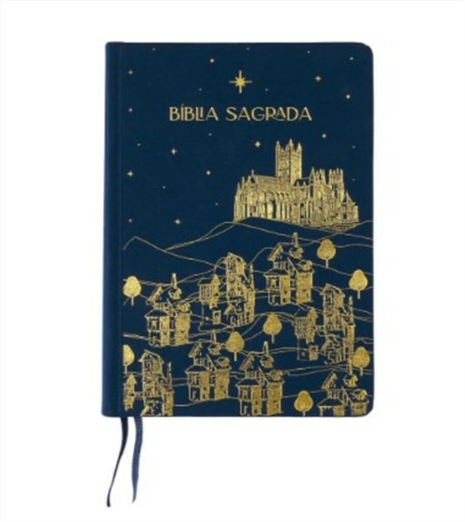 Biblia the Purpose book