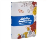 Bíblia Entre Meninas e Deus – Ensinamentos Bíblicos e Reflexões para Jovens